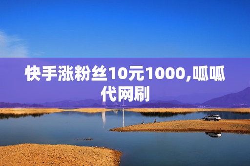 快手涨粉丝10元1000,呱呱代网刷