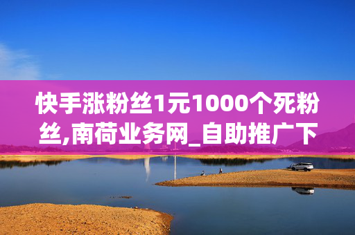 快手涨粉丝1元1000个死粉丝,南荷业务网_自助推广下单平台