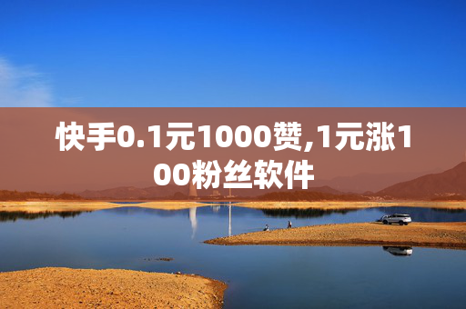 快手0.1元1000赞,1元涨100粉丝软件