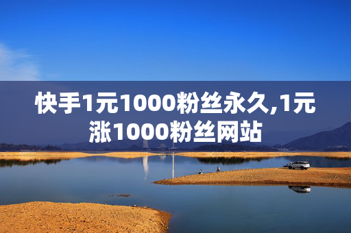 快手1元1000粉丝永久,1元涨1000粉丝网站