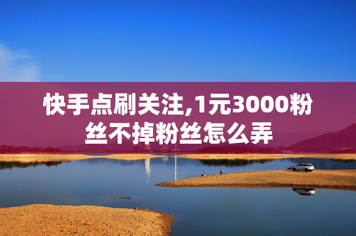 快手点刷关注,1元3000粉丝不掉粉丝怎么弄