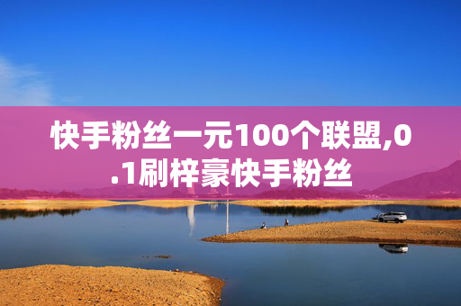 快手粉丝一元100个联盟,0.1刷梓豪快手粉丝