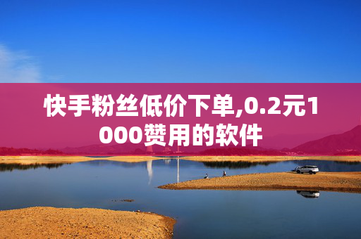 快手粉丝低价下单,0.2元1000赞用的软件