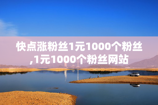 快点涨粉丝1元1000个粉丝,1元1000个粉丝网站