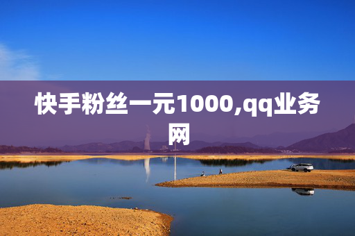 快手粉丝一元1000,qq业务网