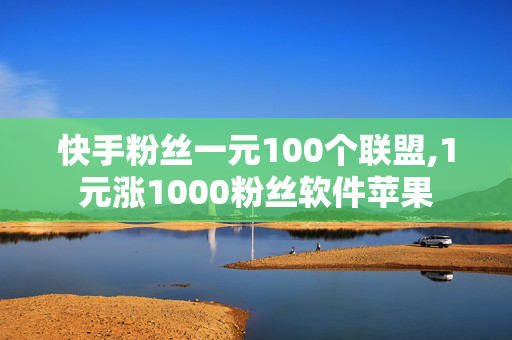 快手粉丝一元100个联盟,1元涨1000粉丝软件苹果