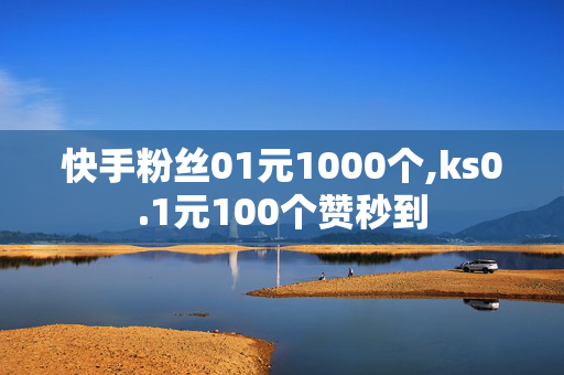 快手粉丝01元1000个,ks0.1元100个赞秒到