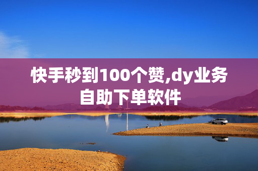 快手秒到100个赞,dy业务自助下单软件