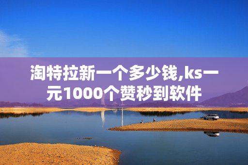 淘特拉新一个多少钱,ks一元1000个赞秒到软件