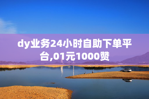 dy业务24小时自助下单平台,01元1000赞