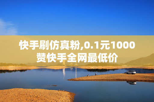 快手刷仿真粉,0.1元1000赞快手全网最低价