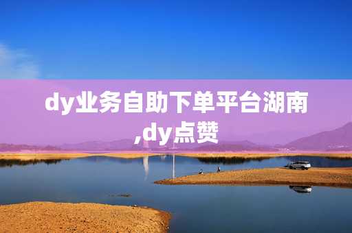 dy业务自助下单平台湖南,dy点赞