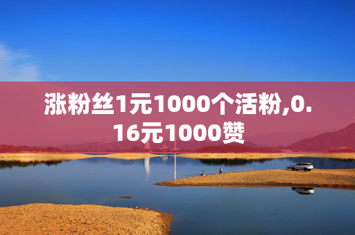 涨粉丝1元1000个活粉,0.16元1000赞