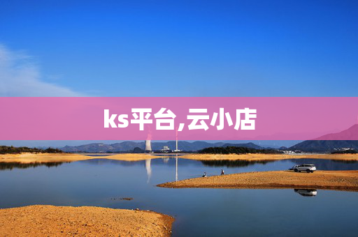 ks平台,云小店