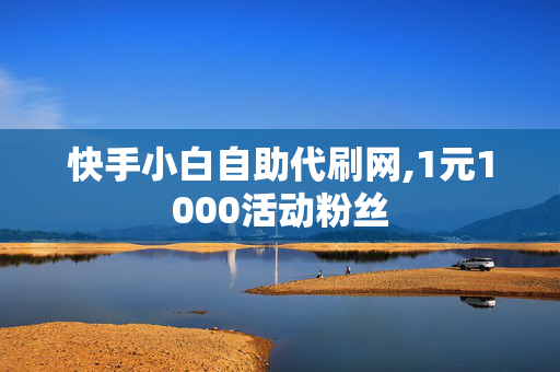 快手小白自助代刷网,1元1000活动粉丝