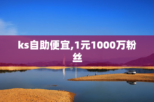 ks自助便宜,1元1000万粉丝