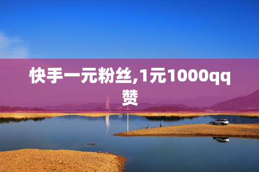 快手一元粉丝,1元1000qq赞