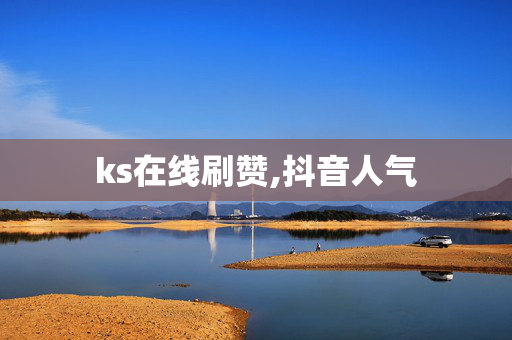 ks在线刷赞,抖音人气