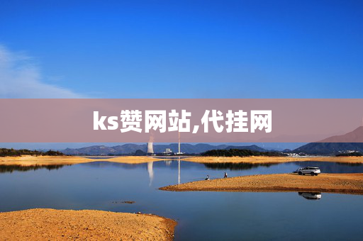 ks赞网站,代挂网