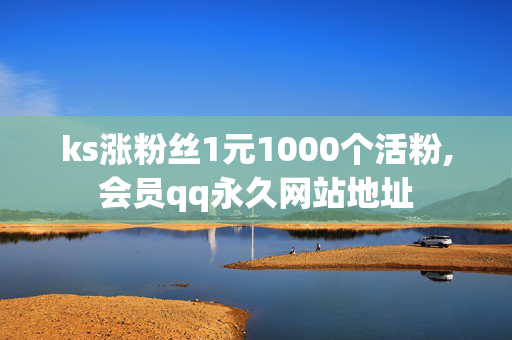 ks涨粉丝1元1000个活粉,会员qq永久网站地址