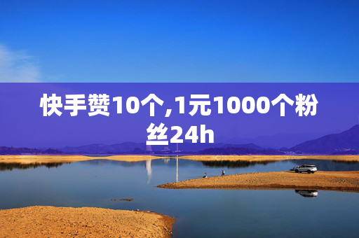 快手赞10个,1元1000个粉丝24h