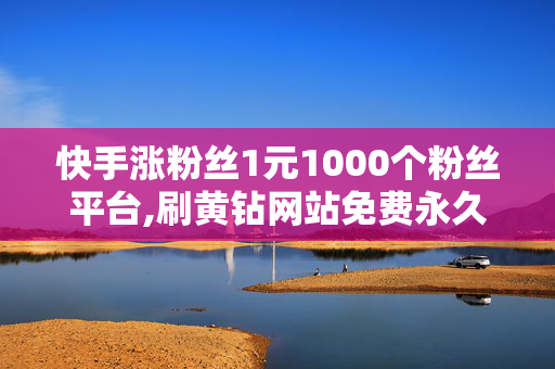 快手涨粉丝1元1000个粉丝平台,刷黄钻网站免费永久软件