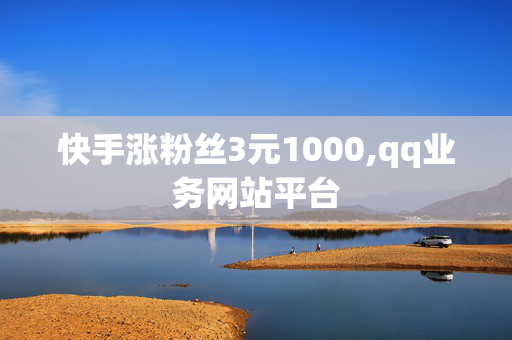 快手涨粉丝3元1000,qq业务网站平台