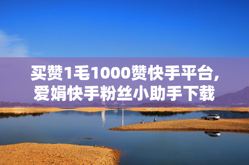 买赞1毛1000赞快手平台,爱娟快手粉丝小助手下载