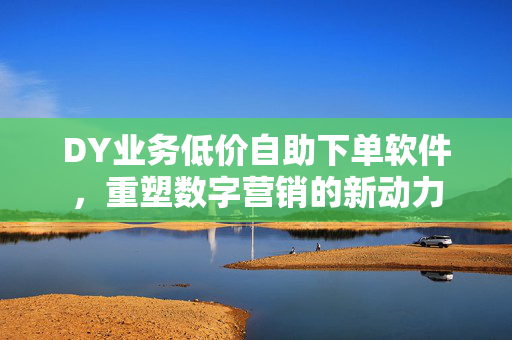 DY业务低价自助下单软件，重塑数字营销的新动力