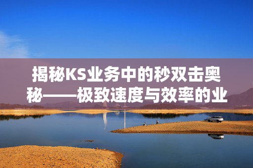 揭秘KS业务中的秒双击奥秘——极致速度与效率的业务新纪元