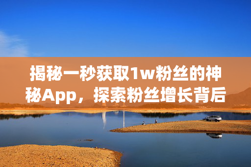 揭秘一秒获取1w粉丝的神秘App，探索粉丝增长背后的策略与奥秘