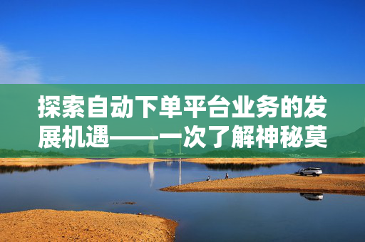 探索自动下单平台业务的发展机遇——一次了解神秘莫测的全程供应链终端平台的飞行体验之旅