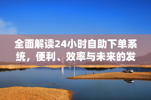 全面解读24小时自助下单系统，便利、效率与未来的发展趋势