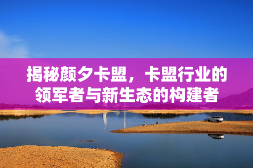 揭秘颜夕卡盟，卡盟行业的领军者与新生态的构建者