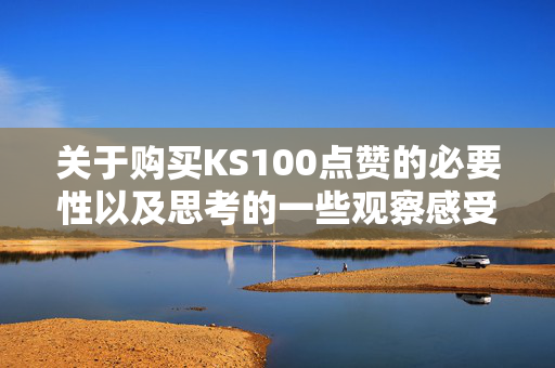 关于购买KS100点赞的必要性以及思考的一些观察感受