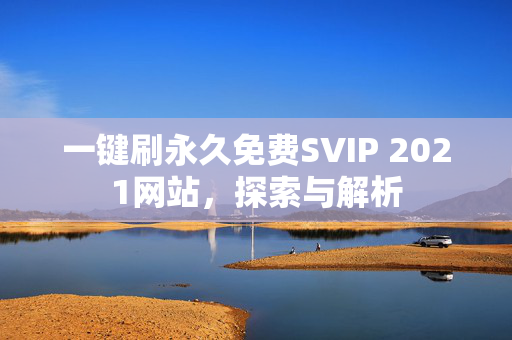 一键刷永久免费SVIP 2021网站，探索与解析