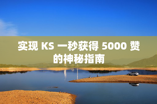 实现 KS 一秒获得 5000 赞的神秘指南