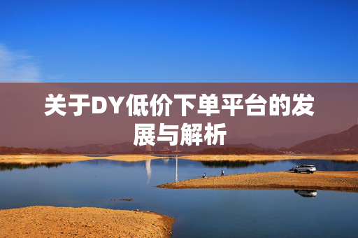 关于DY低价下单平台的发展与解析