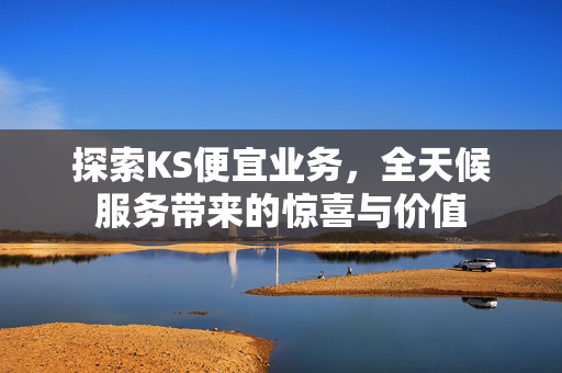 探索KS便宜业务，全天候服务带来的惊喜与价值