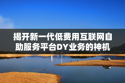 揭开新一代低费用互联网自助服务平台DY业务的神机妙算 ——自助下订单并助推社交业务！