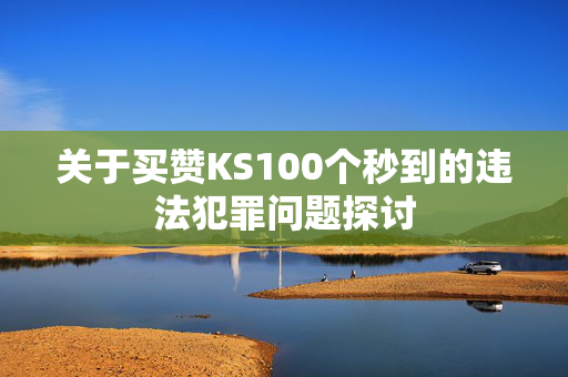 关于买赞KS100个秒到的违法犯罪问题探讨