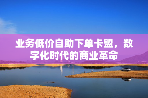 业务低价自助下单卡盟，数字化时代的商业革命