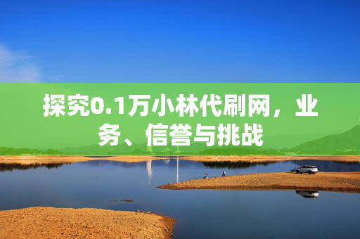 探究0.1万小林代刷网，业务、信誉与挑战