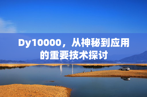 Dy10000，从神秘到应用的重要技术探讨