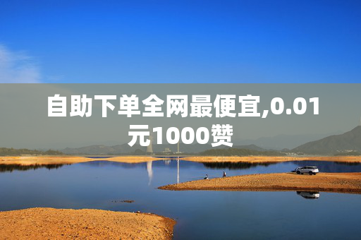 自助下单全网最便宜,0.01元1000赞