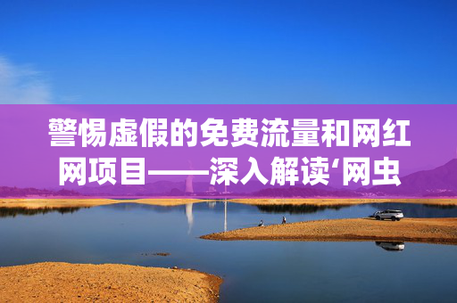 警惕虚假的免费流量和网红网项目——深入解读‘网虫热炒的‘0元代刷网免费网址’