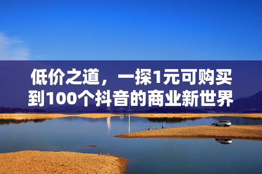 低价之道，一探1元可购买到100个抖音的商业新世界