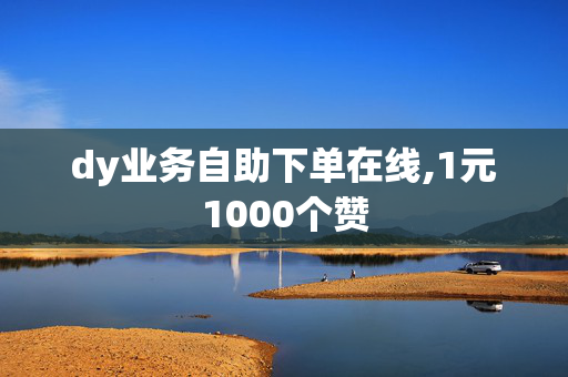 dy业务自助下单在线,1元1000个赞