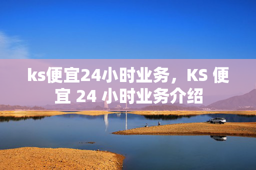 ks便宜24小时业务，KS 便宜 24 小时业务介绍