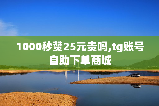 1000秒赞25元贵吗,tg账号自助下单商城